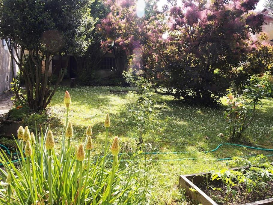 Le 7 Des Tonneliers Bed & Breakfast Castelfranc Eksteriør bilde